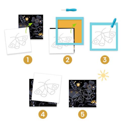 Sequência de 5 passos ilustrados para usar a Djeco Caixa com Atividades - Picotagem, Revela a Imagem, desde a escolha das folhas até à revelação da borboleta com luz.