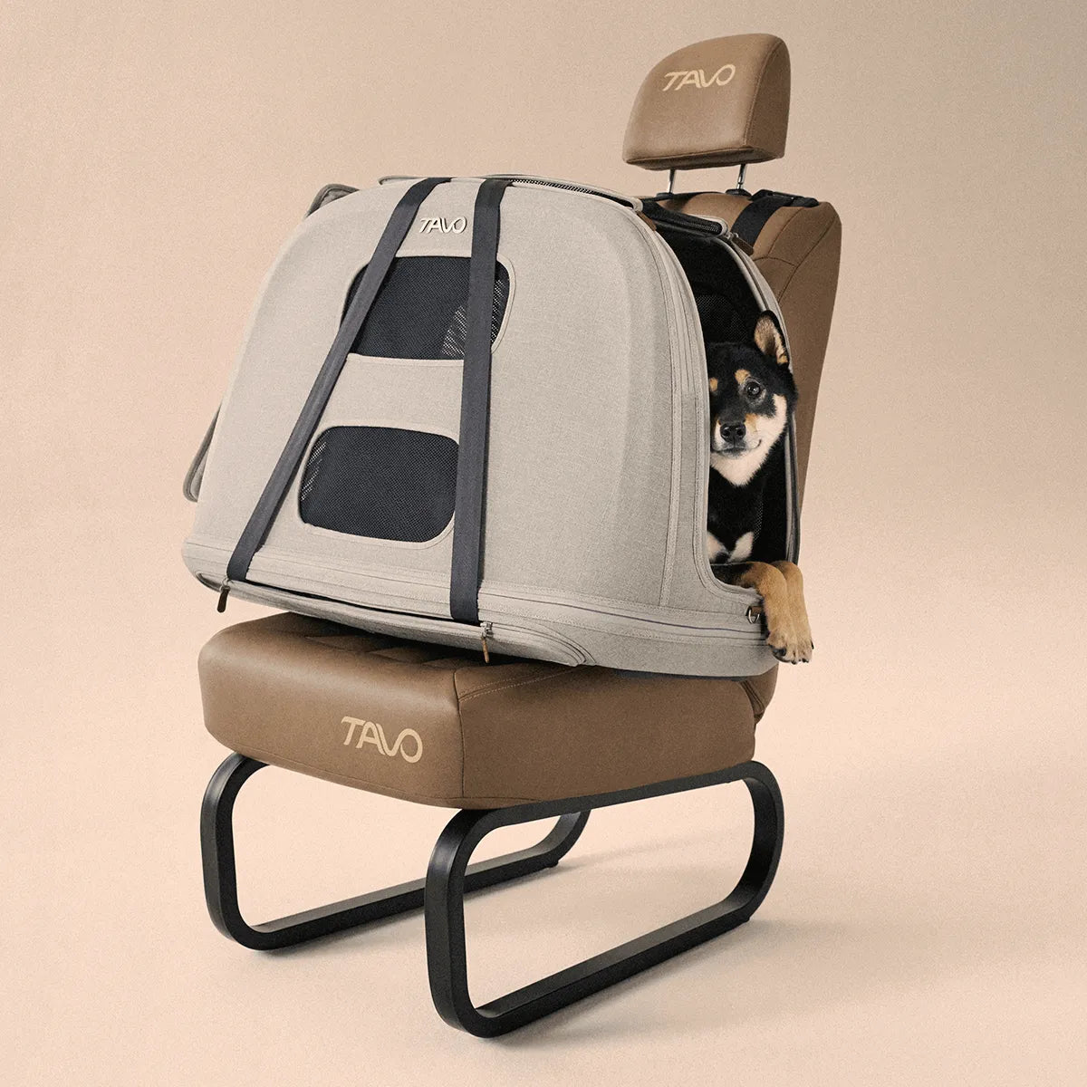 TAVO Crispin: Premium Car Travel Box - Impact Tested
