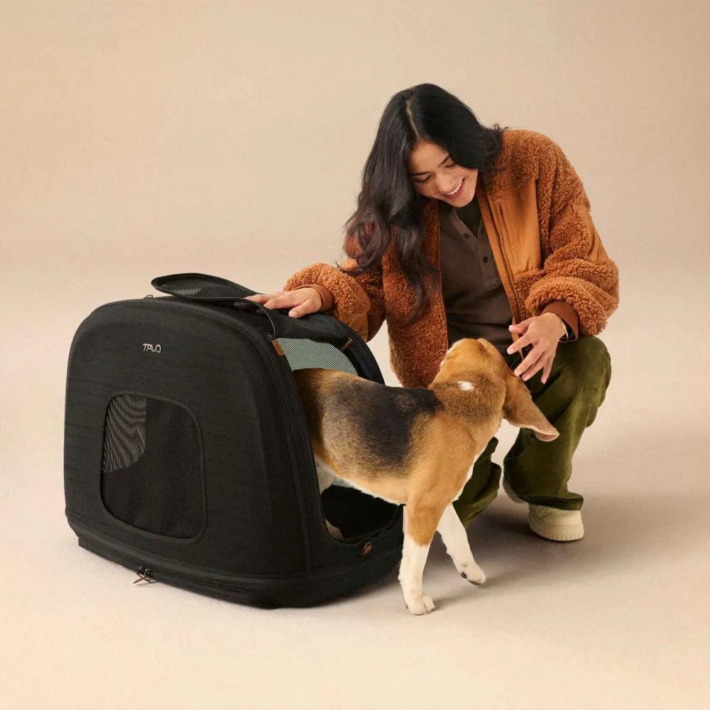 TAVO Crispin: Premium Car Travel Box - Impact Tested