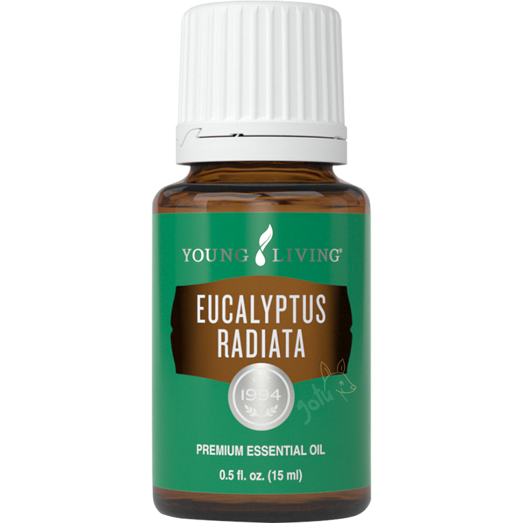 Young Living - Eucalyptus radiata Essential Oil 15ml
