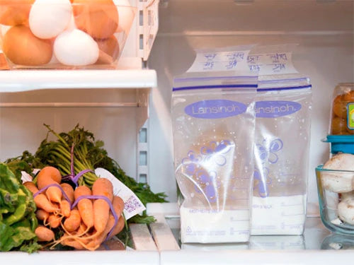 Lansinoh Breast Milk Storage Bags 50 units