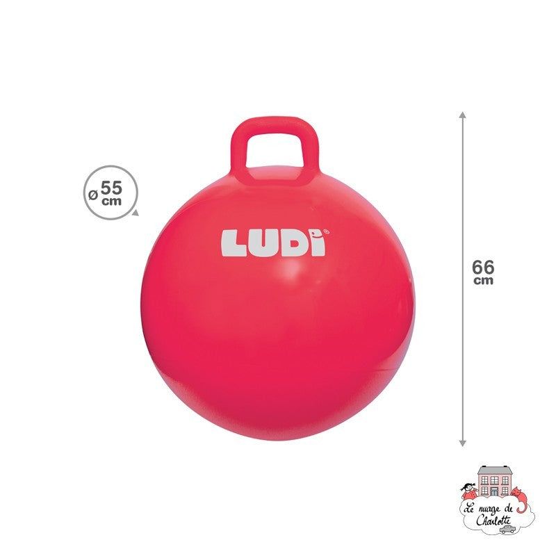 Ludi Bola Saltitona XXL