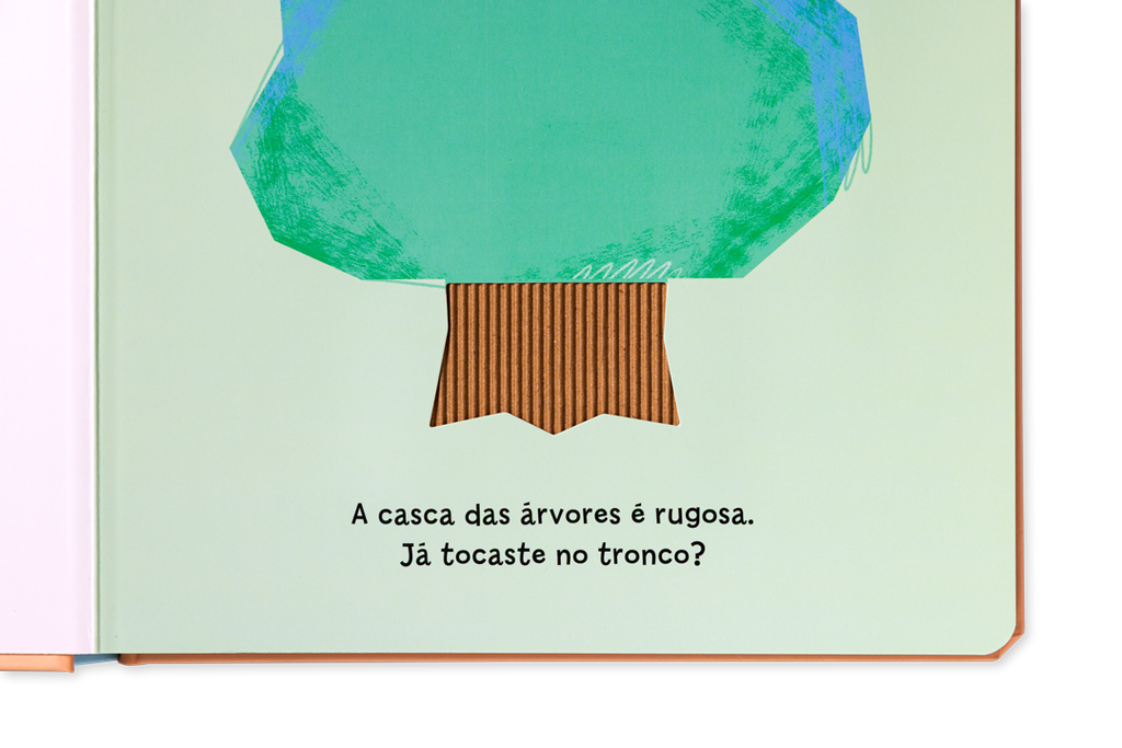Interior do livro As Texturas à Tua Volta com texto curto e ilustração de objeto