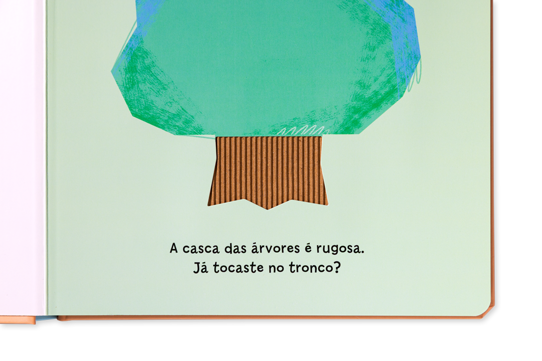 Interior do livro As Texturas à Tua Volta com texto curto e ilustração de objeto