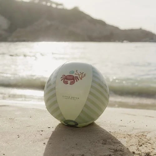 Pelota de playa holandesa pequeña