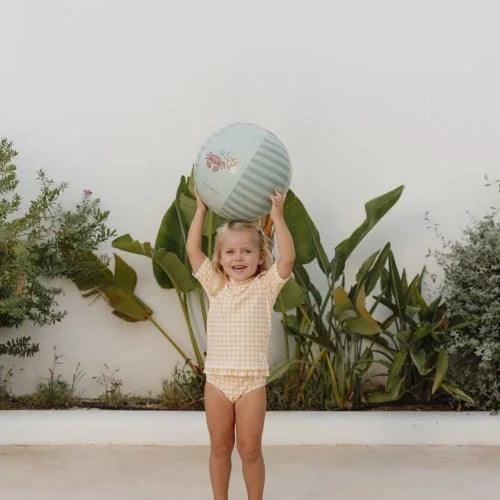 Pelota de playa holandesa pequeña