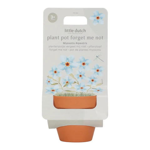 Little Dutch Maceta con planta - No me olvides