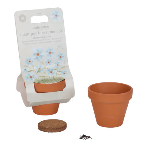 Little Dutch Maceta con planta - No me olvides