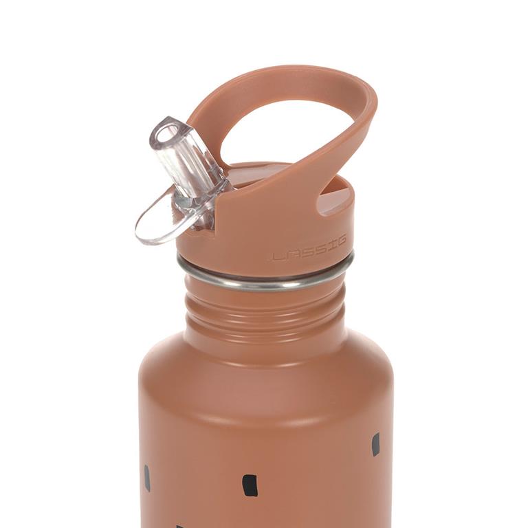 Lassig Stainless Steel Bottle