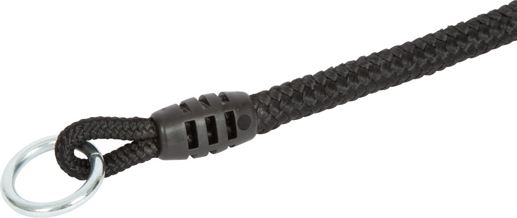 Columpio de disco con cuerda de escalada de línea negra de Small Foot 