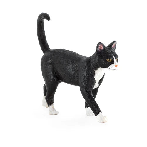 Mojo Gato Preto M