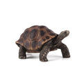 Mojo Giant Tortoise L