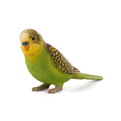 Mojo Piriquito Verde S