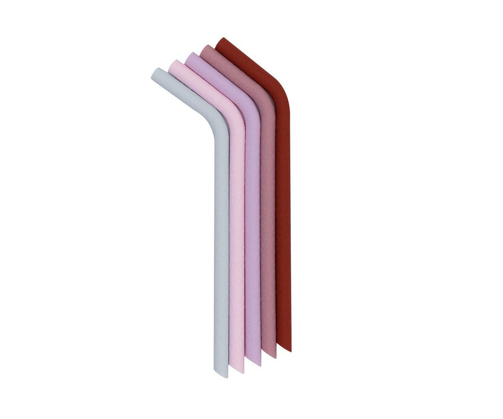 Conjunto de 5 palhinhas reutilizáveis de silicone Bendie Straws da We Might Be Tiny, nas cores Earth and Bloom, dispostas em leque.