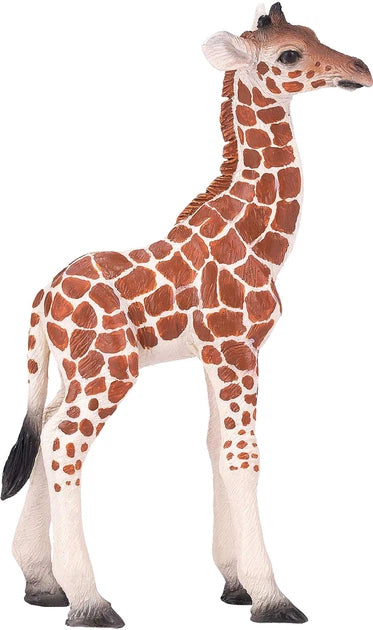 Mojo Girafa Filhote L