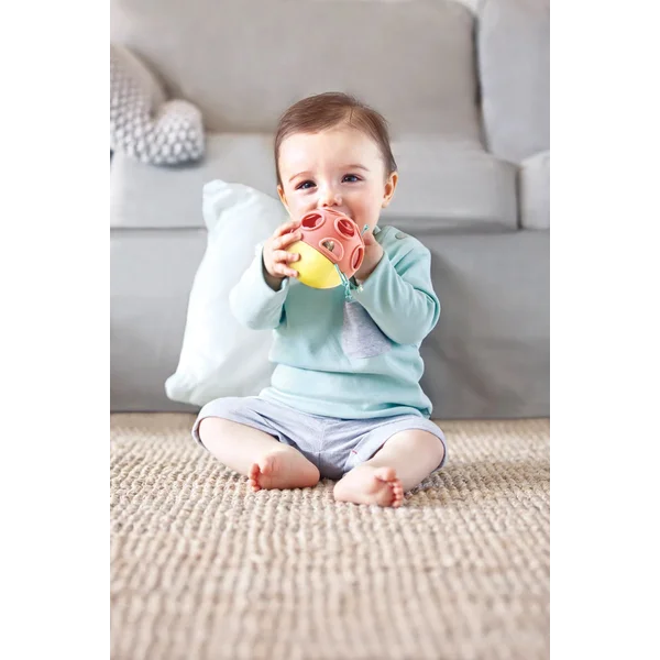 Pelota mordedora y sonajero con forma de insecto de Hape