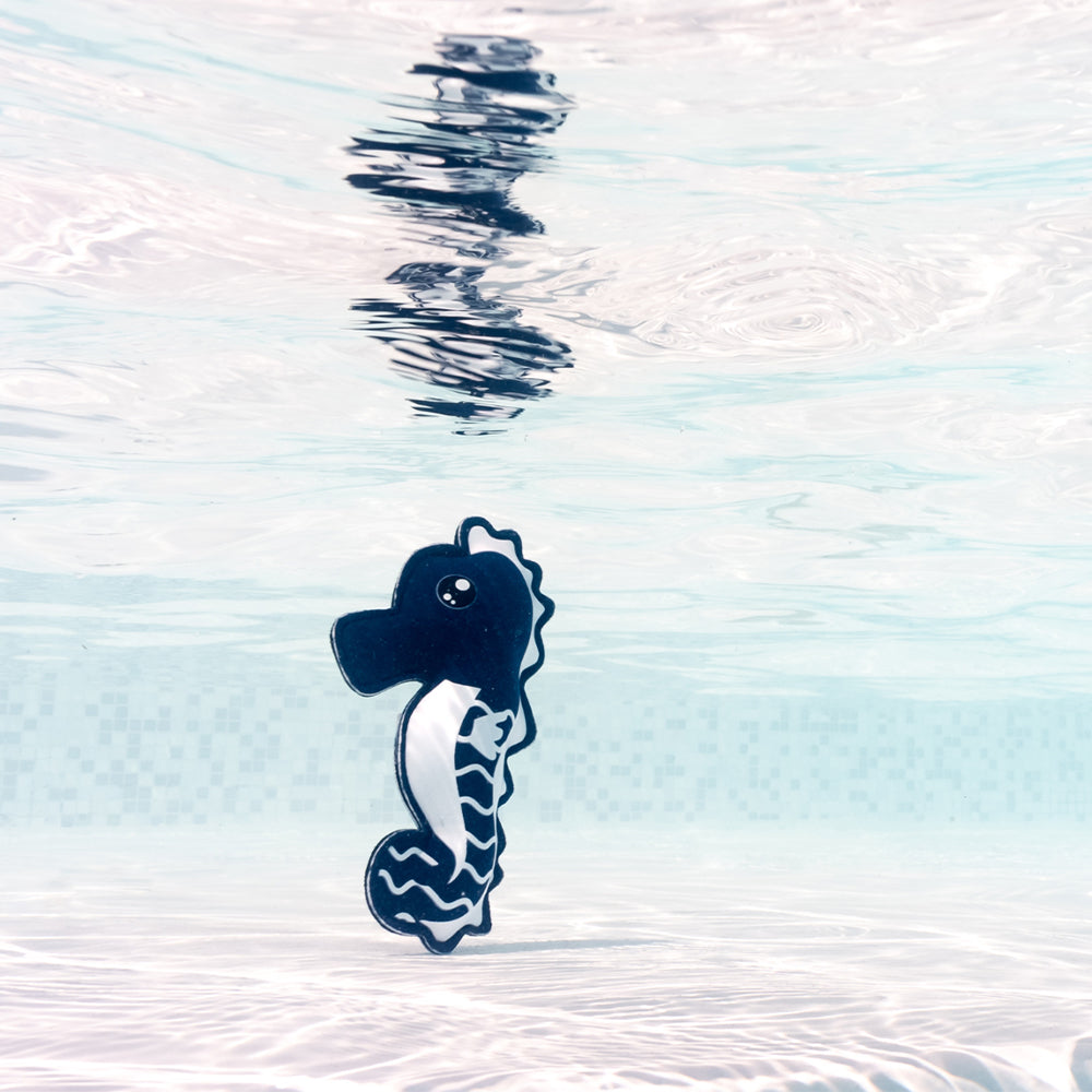 Splash About - Neoprene Water Toys - Sardine and Seahorse
