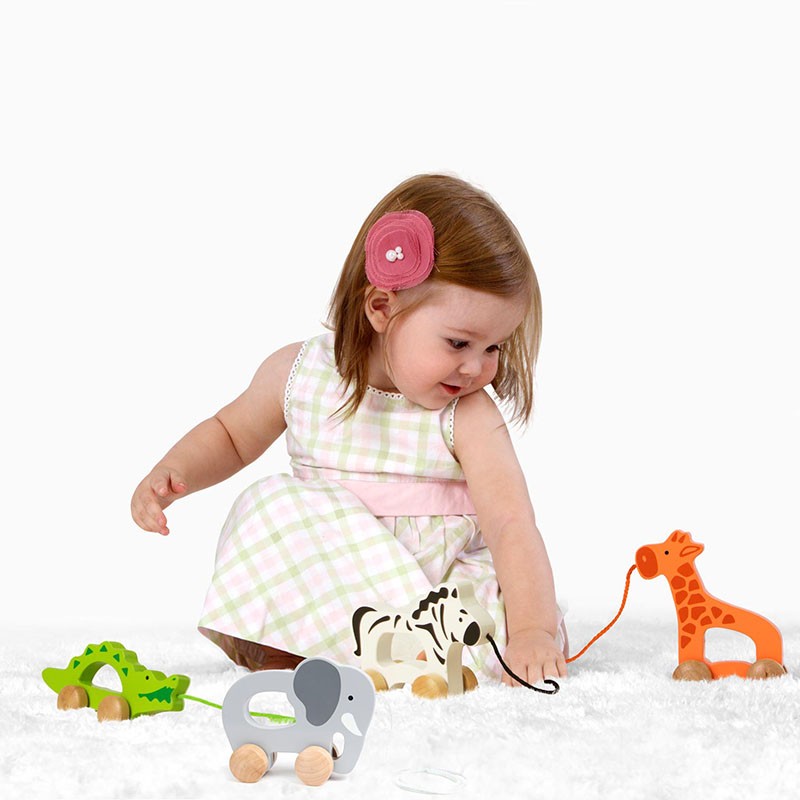 Hape Elephant Pull and Push