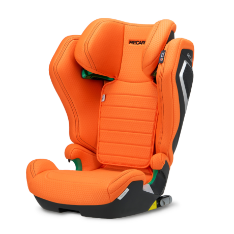 Cadeira Auto FF RECARO AXION 1