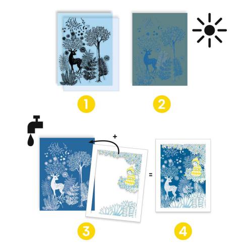Djeco Dibujos en cianotopía - A la luz de la luna