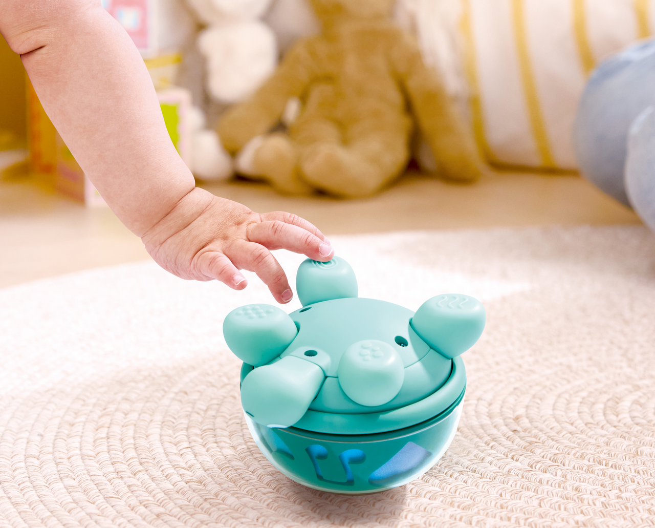 Hape Twist and Tune - Turtle
