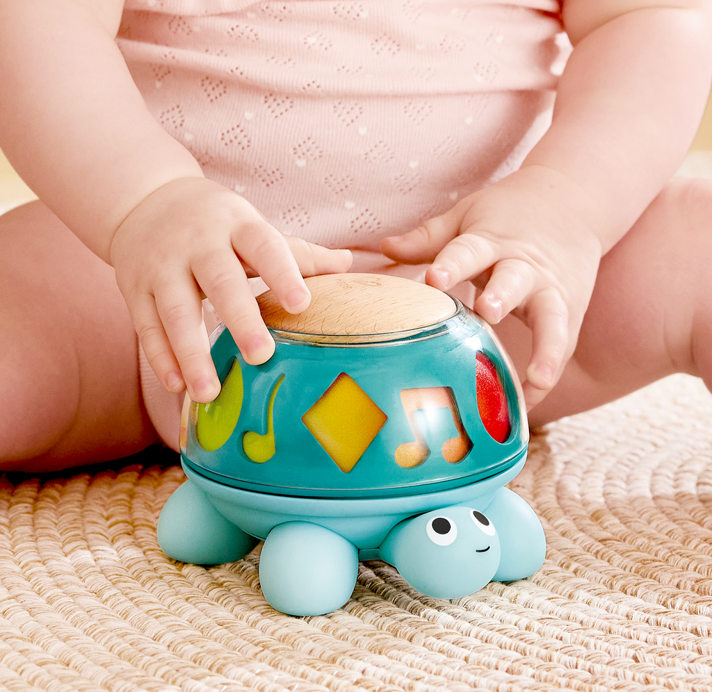 Hape Twist and Tune - Turtle