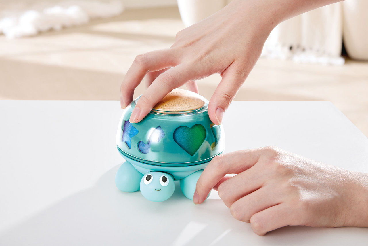 Hape Twist and Tune - Turtle