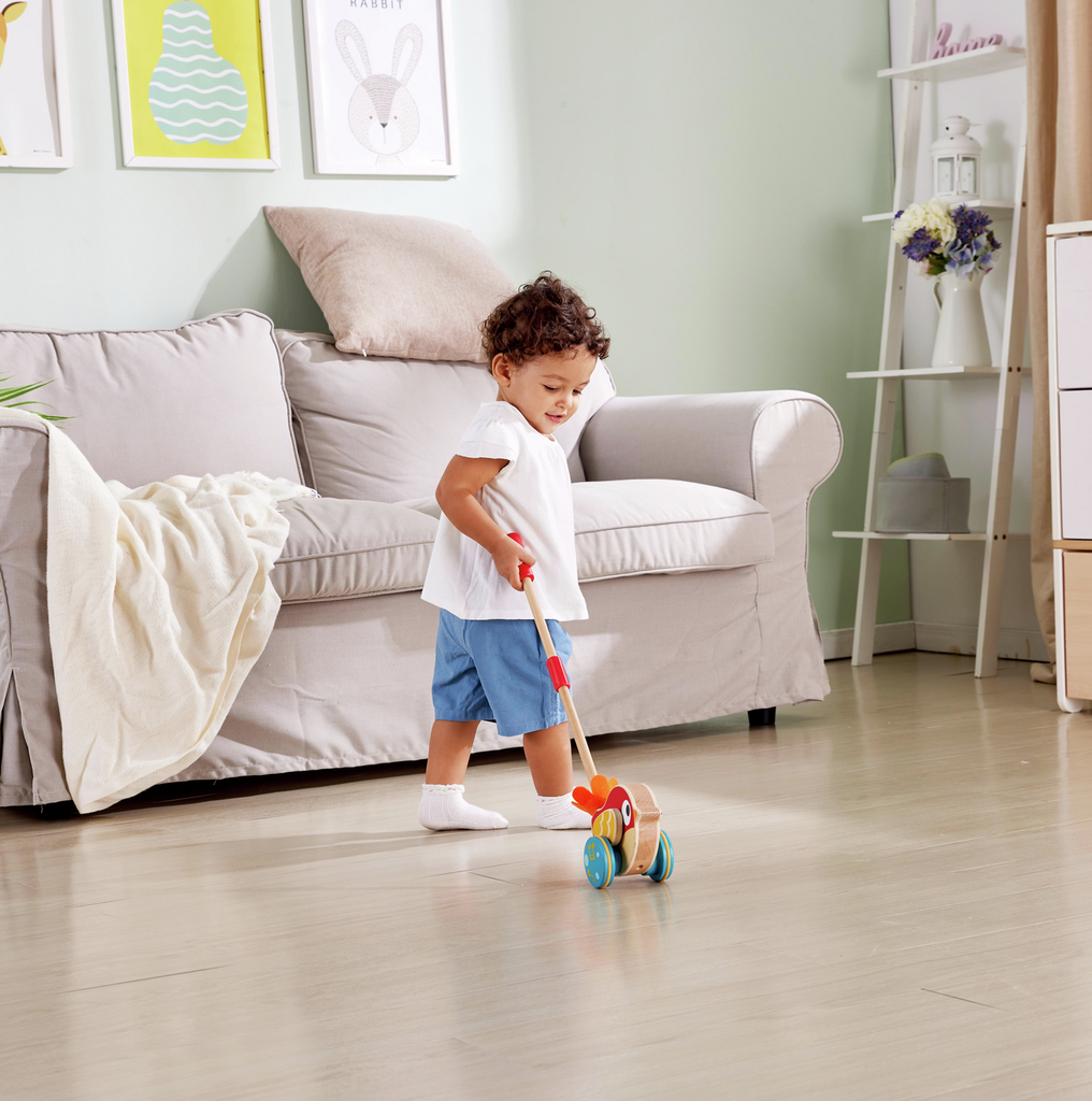 Hape Lilly Bird Push-Along