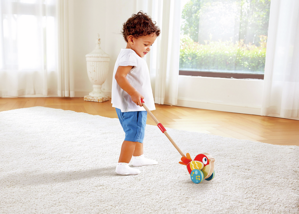 Hape Lilly Bird Push-Along