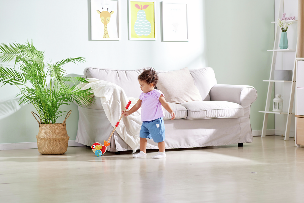Hape Lilly Bird Push-Along