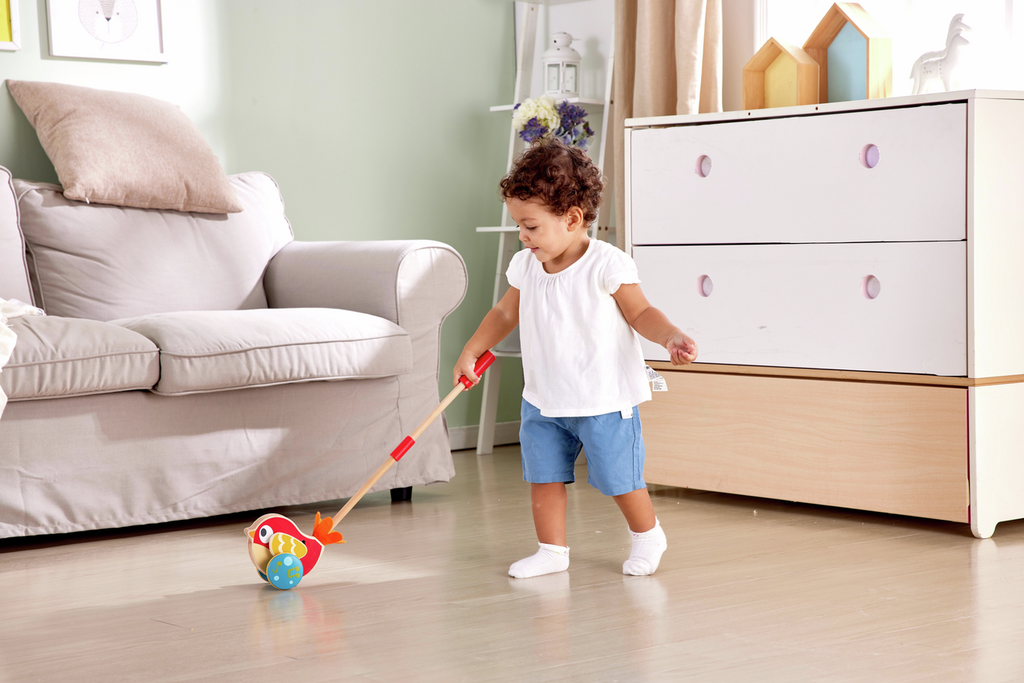 Hape Lilly Bird Push-Along
