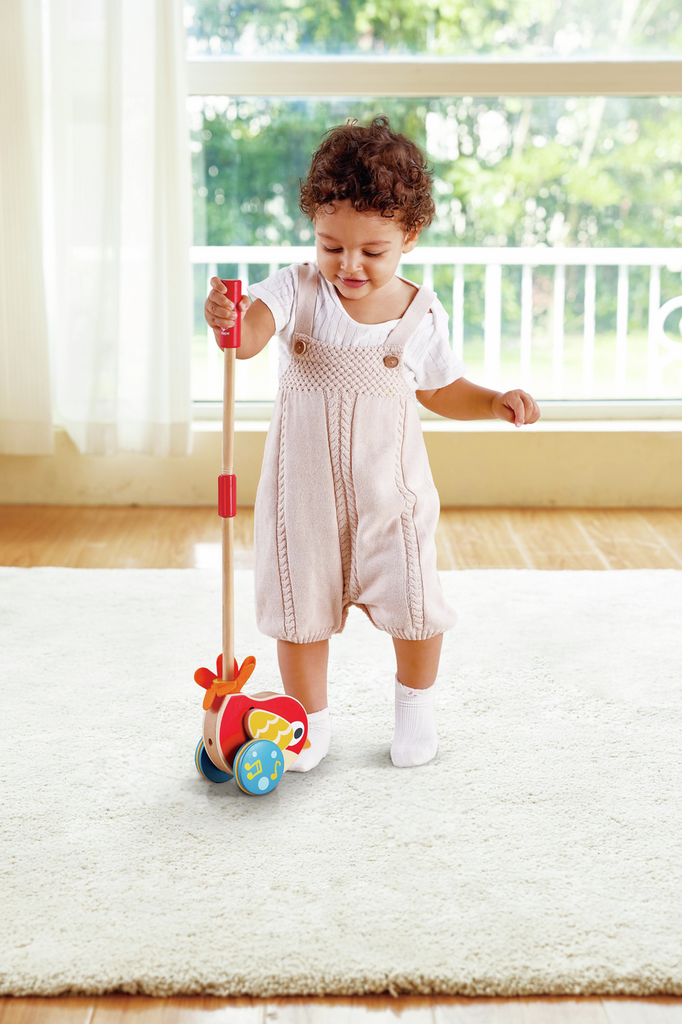 Hape Lilly Bird Push-Along