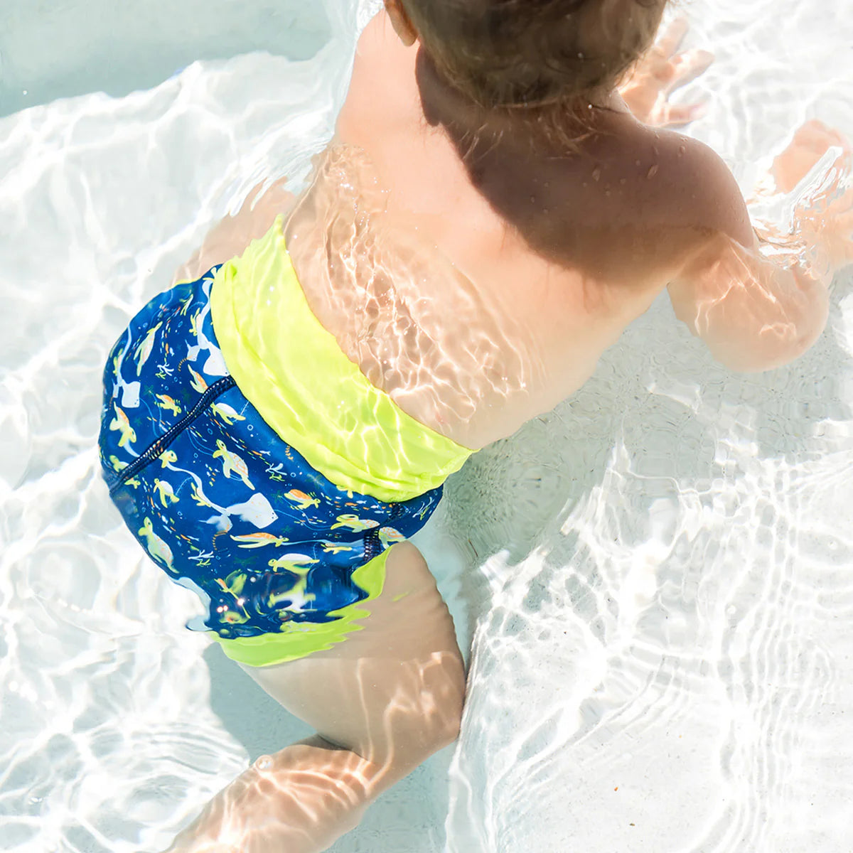 Splash About - Happy Nappy Reusable Beach/Pool Swim Diaper Turtle Tide