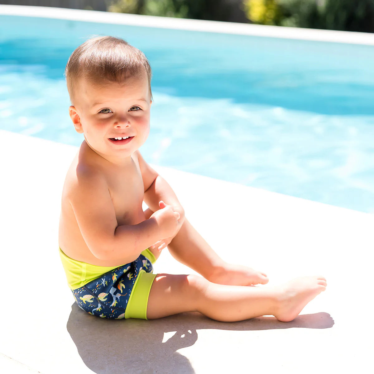 Splash About - Happy Nappy Reusable Beach/Pool Swim Diaper Turtle Tide