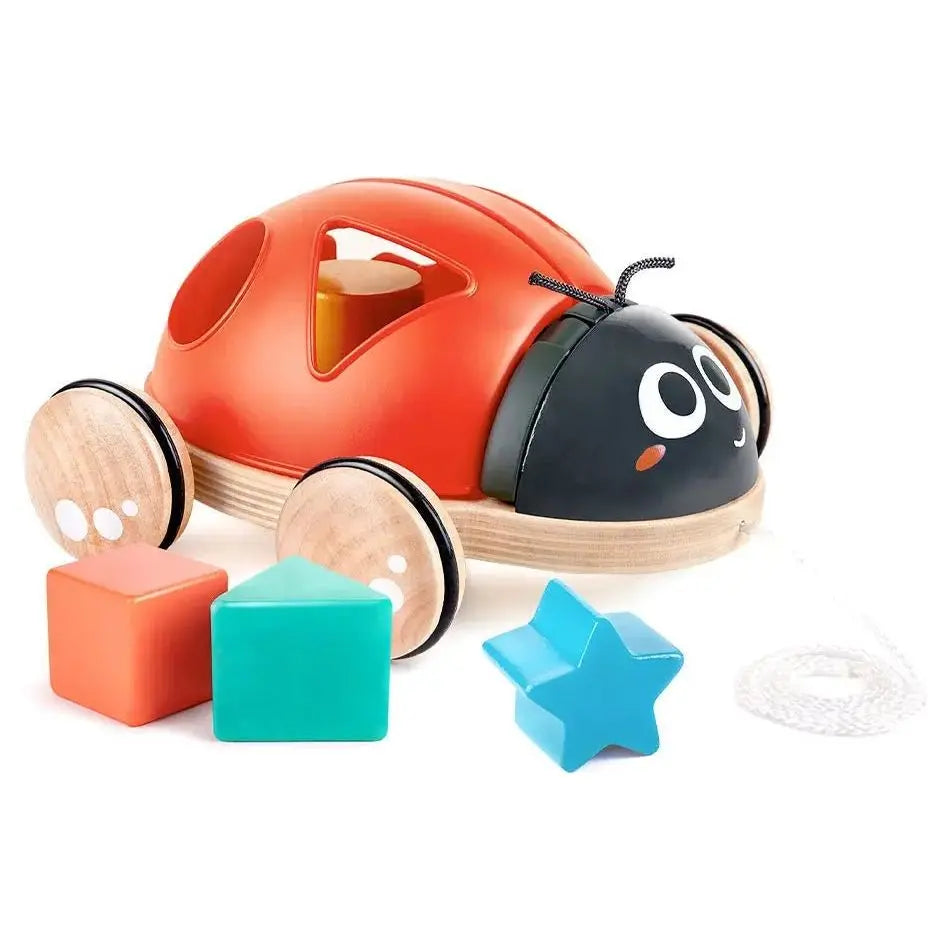Hape joaninha com formas, brinquedo de encaixe em madeira