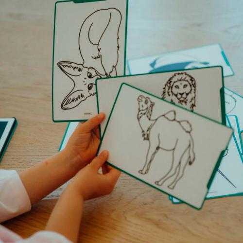 Mãos de criança a segurar cartões com ilustrações de animais (camelo, leão) para usar com o KidyWolf Tablet.