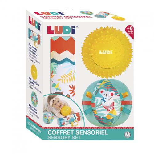 Ludi Conjunto Tubo com bolas sensoriais