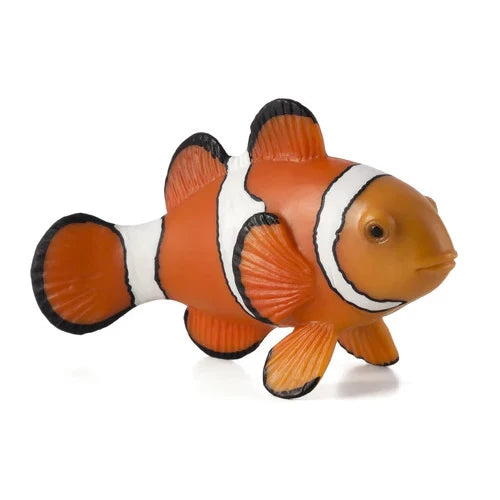 Mojo Peixe Palhaço M