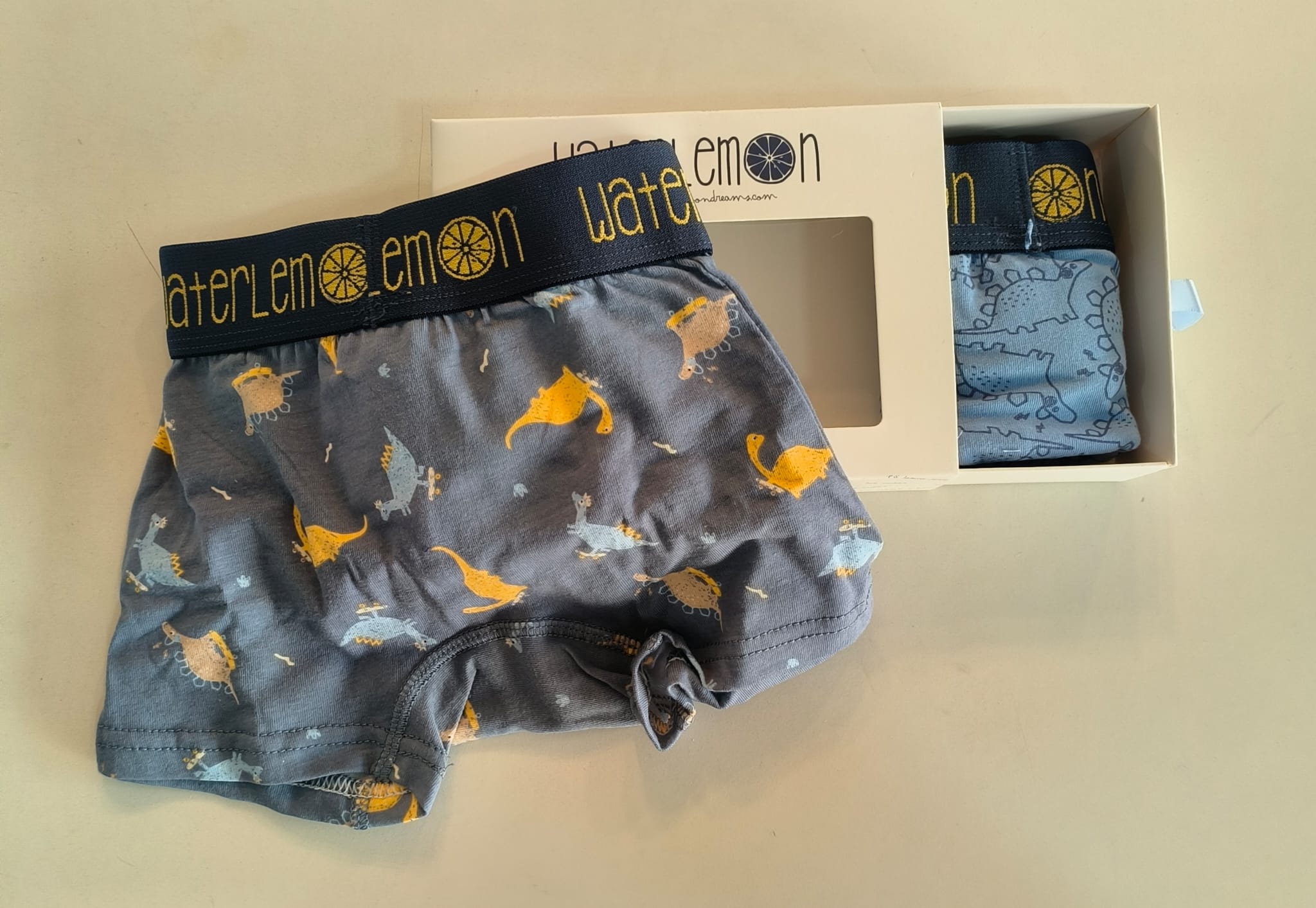 Boxer Waterlemon azul-escuro com padrão de dinossauros e uma caixa aberta com outro boxer azul-claro de dinossauros.