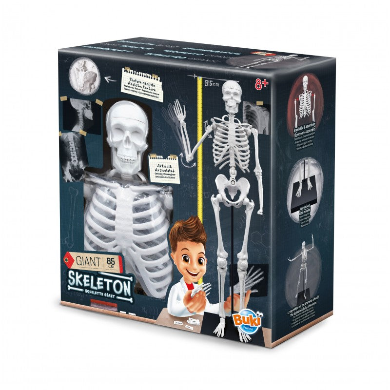 Embalagem do kit "Buki Esqueleto Gigante 85cm", mostrando o modelo montado, radiografias e a figura de uma criança a interagir com o produto.