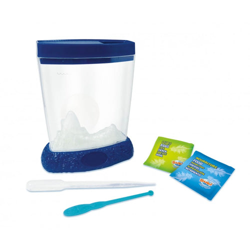 Componentes do kit Buki Monstros Marinhos: tanque de incubação azul, pipetas, e embalagens de ovos e alimento para artémias.