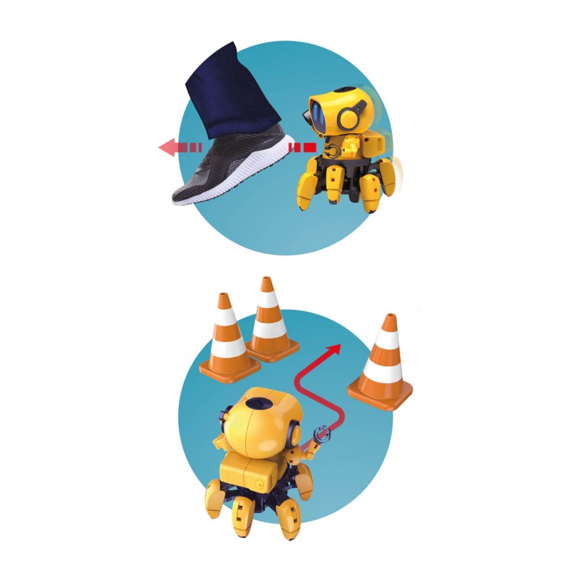 Demonstração dos modos do Robot Tibo: seguindo um pé (modo de acompanhamento) e desviando de cones de trânsito (modo explorador).