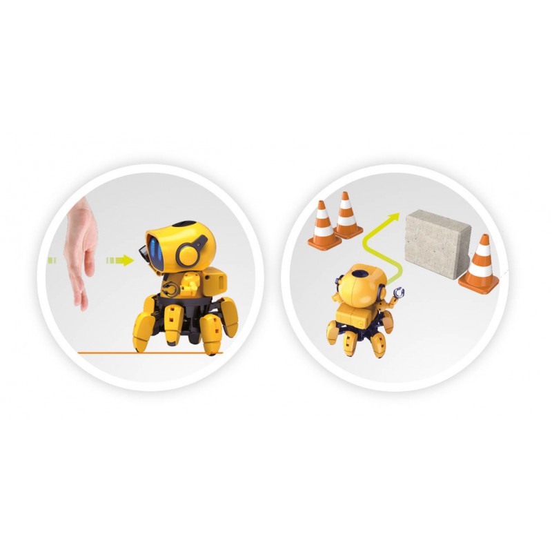 Ilustração dos dois modos do Robot Tibo: seguindo uma mão (acompanhamento) e contornando obstáculos como cones e um bloco (exploração).