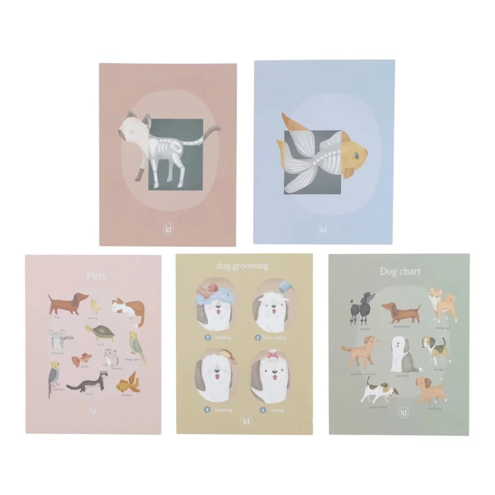 Cinco cartões ilustrados em tons pastel com esquemas de anatomia de peixe e cão, e guias de cuidados e raças de cães.