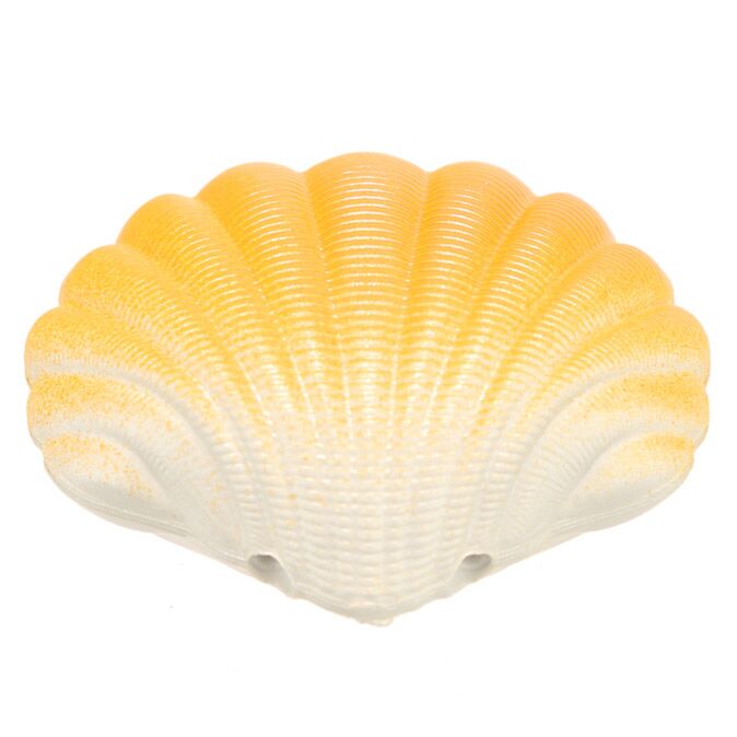 Concha sereia amarela fechada, vista superior, com detalhe da textura e gradação de cor.