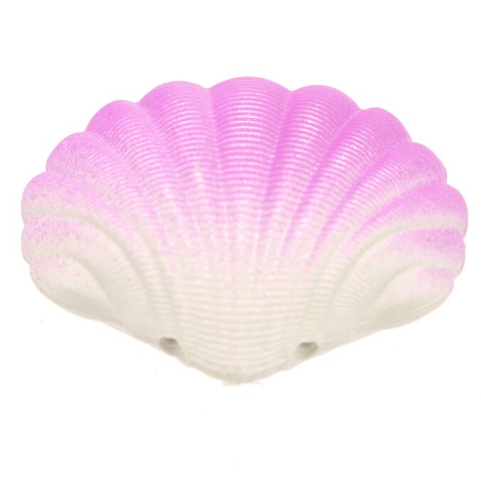 Concha sereia rosa fechada, vista superior, com detalhe da textura e gradação de cor.