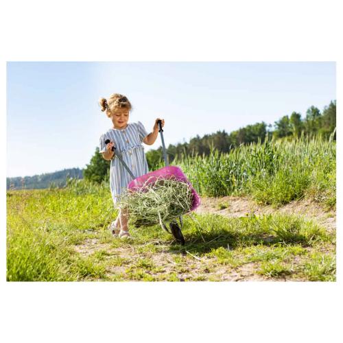 Carrinho de mão infantil cor-de-rosa com estrutura metálica resistente, cuba de plástico durável e roda robusta, ideal para brincadeiras ao ar livre.