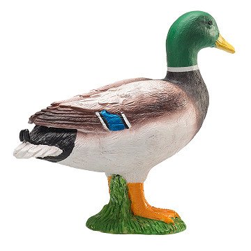 Mojo Pato Real M