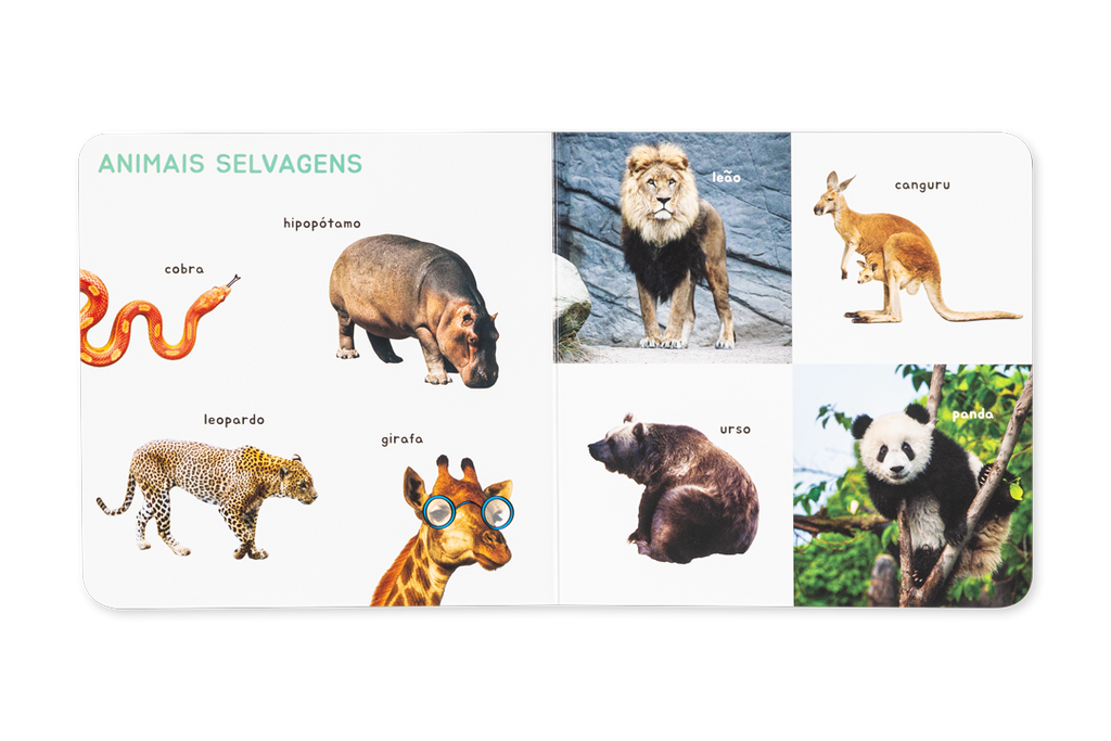 Interior do livro Animais da Edicare com fotografias reais de leão, girafa, panda e hipopótamo.