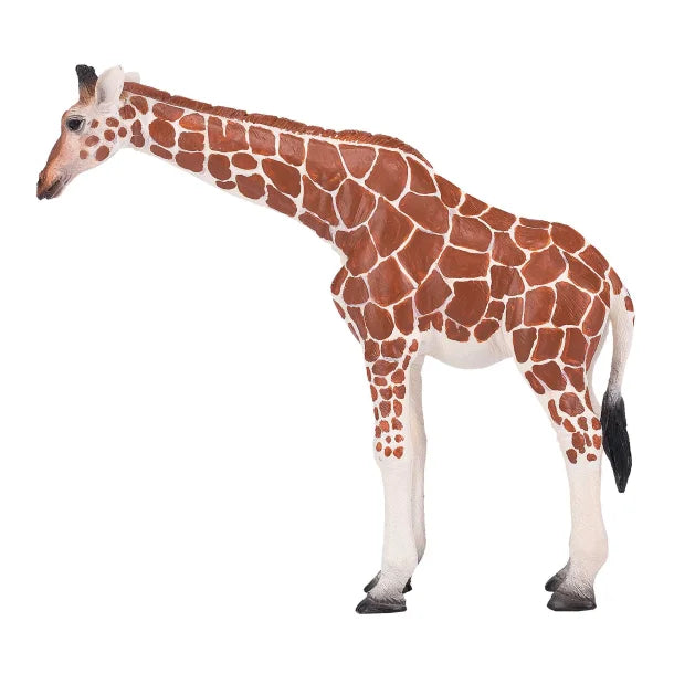 Figura de girafa realista da marca Mojo, ideal para brincadeira educativa e coleção de animais.